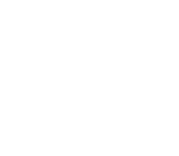 Wise Seg, corretora de seguros
